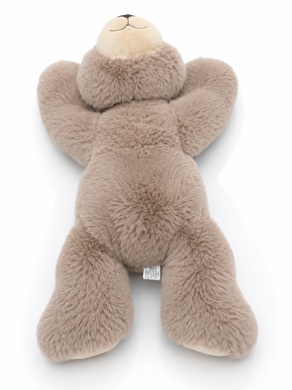 Aurora- Brown Bear