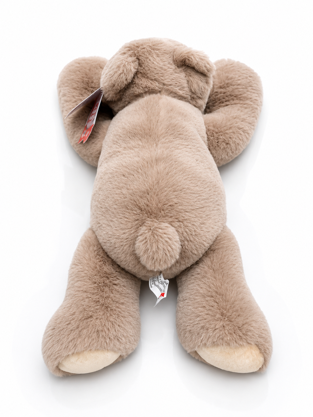Aurora- Brown Bear